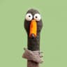 Goose